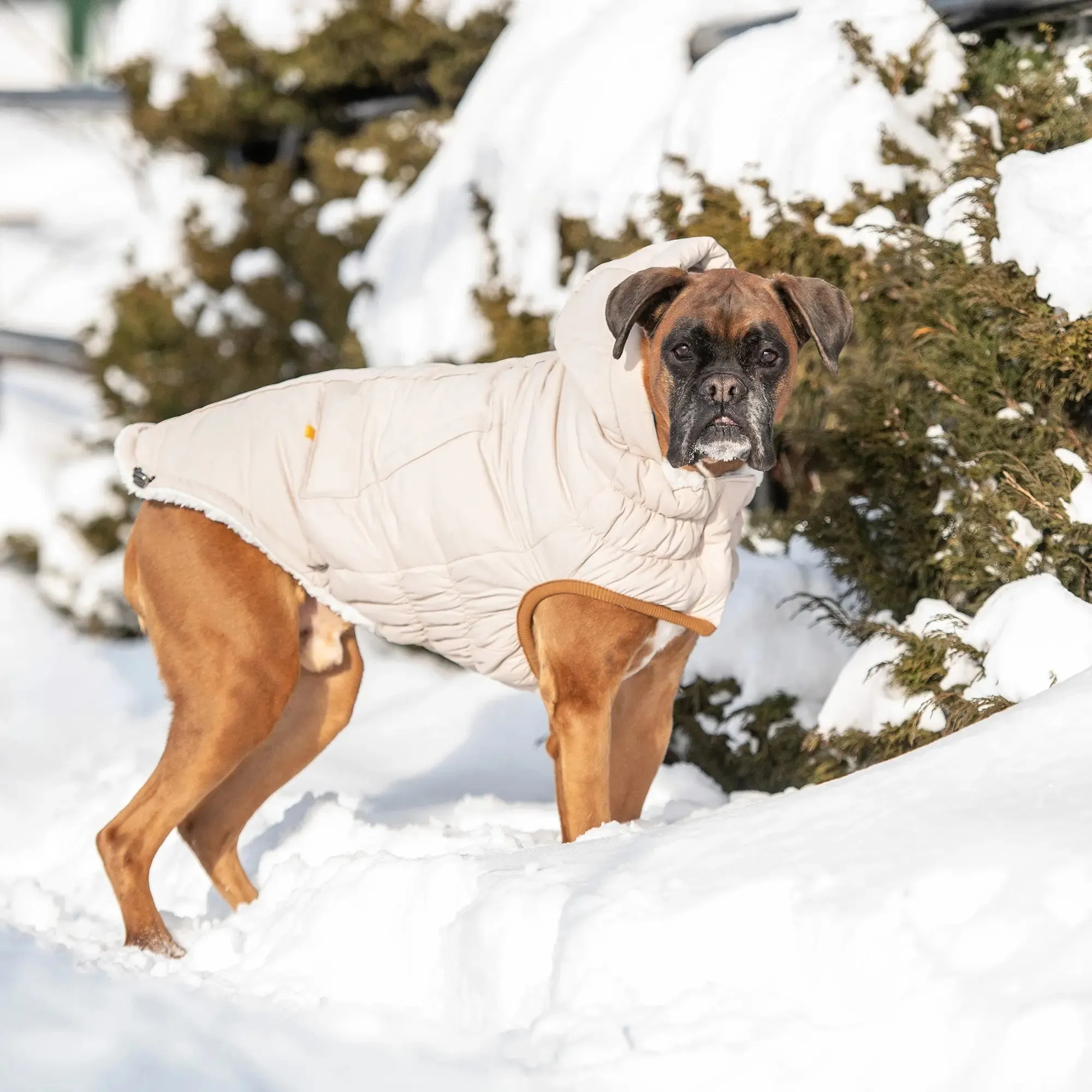 Arctic Dog Parka | Sand