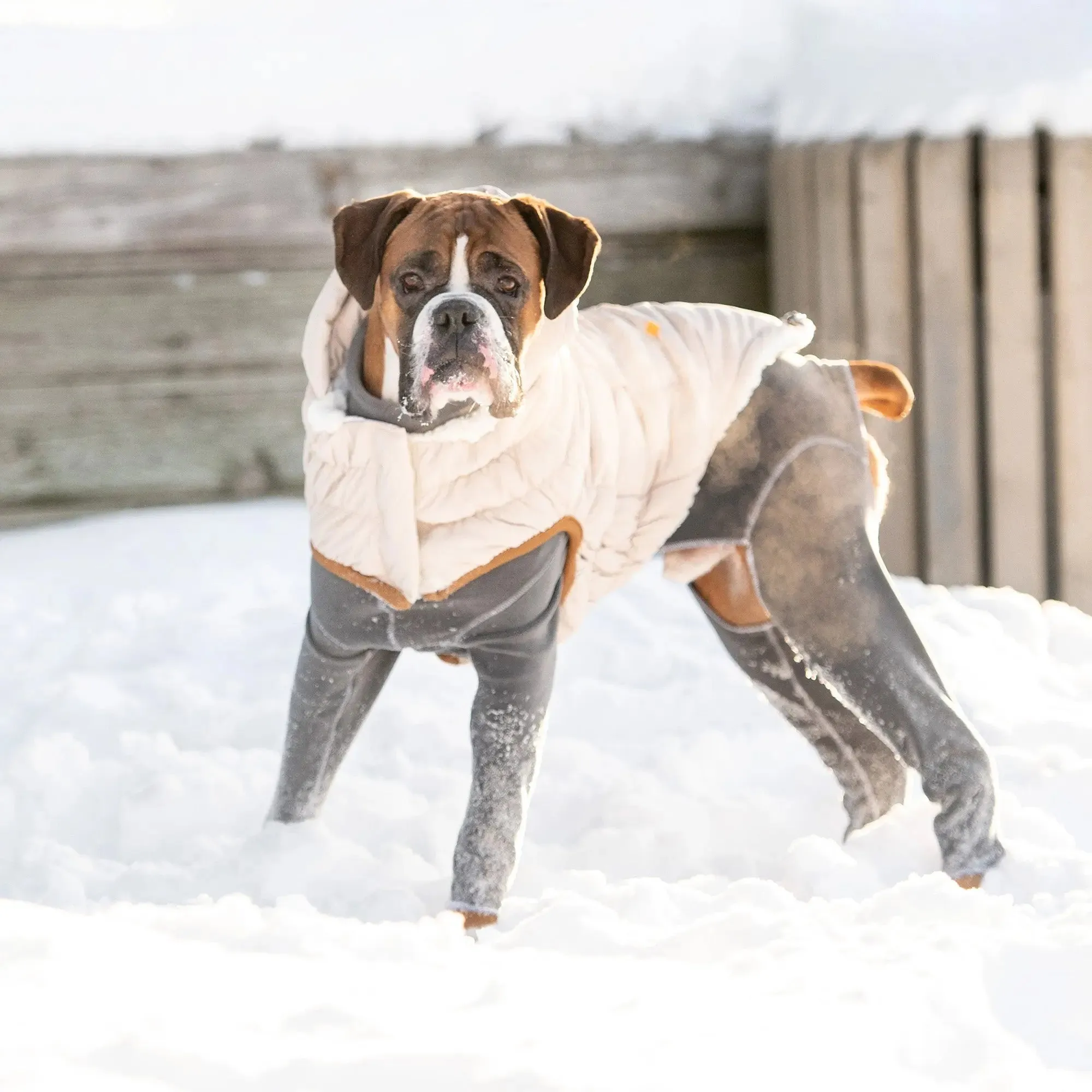 Arctic Dog Parka | Sand