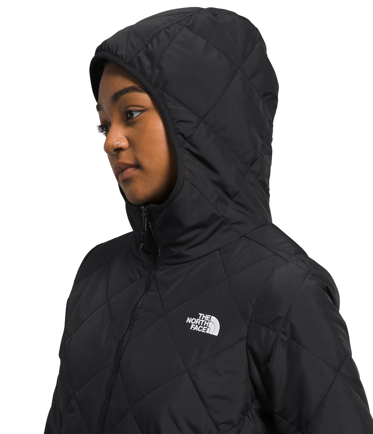 Women's The North Face Shady Glade Insulated Parka